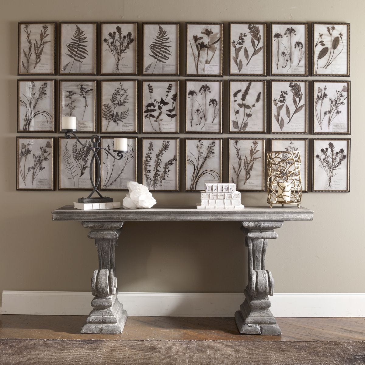 Botany Framed Prints, S/18