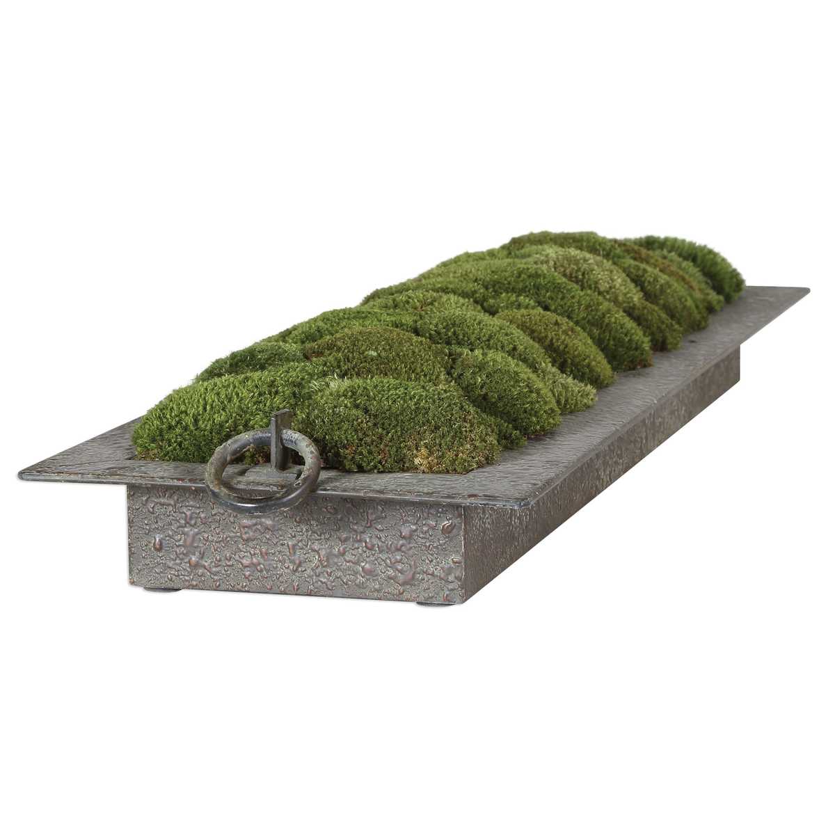 Heath Preserved Moss Tray