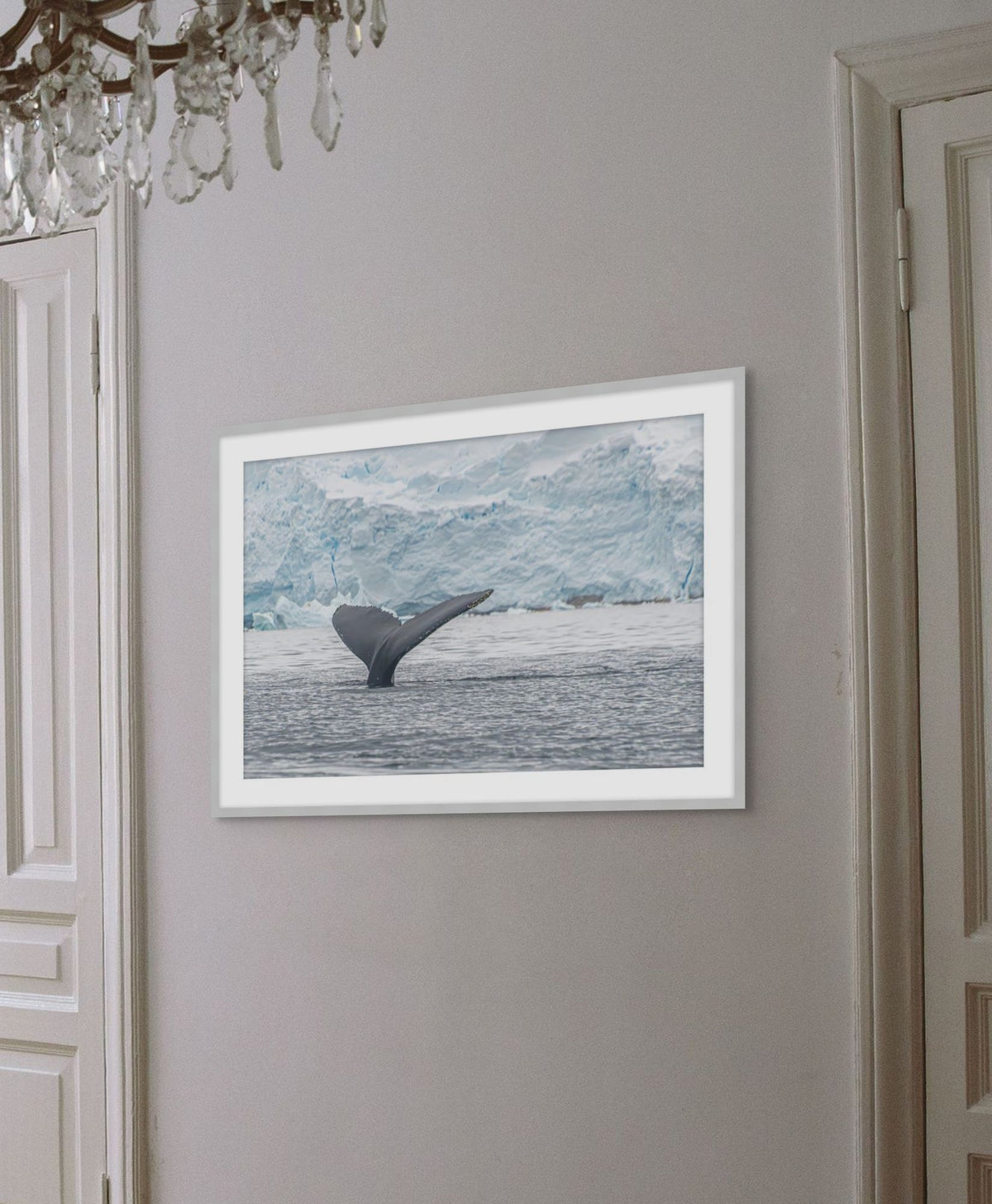 Antarctica Whale Fin 1 detail