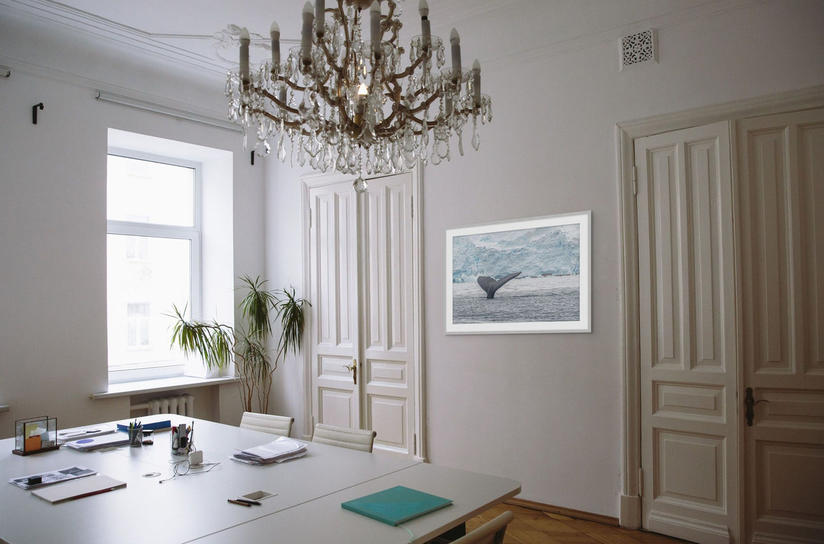 Antarctica Whale Fin 1 in a room