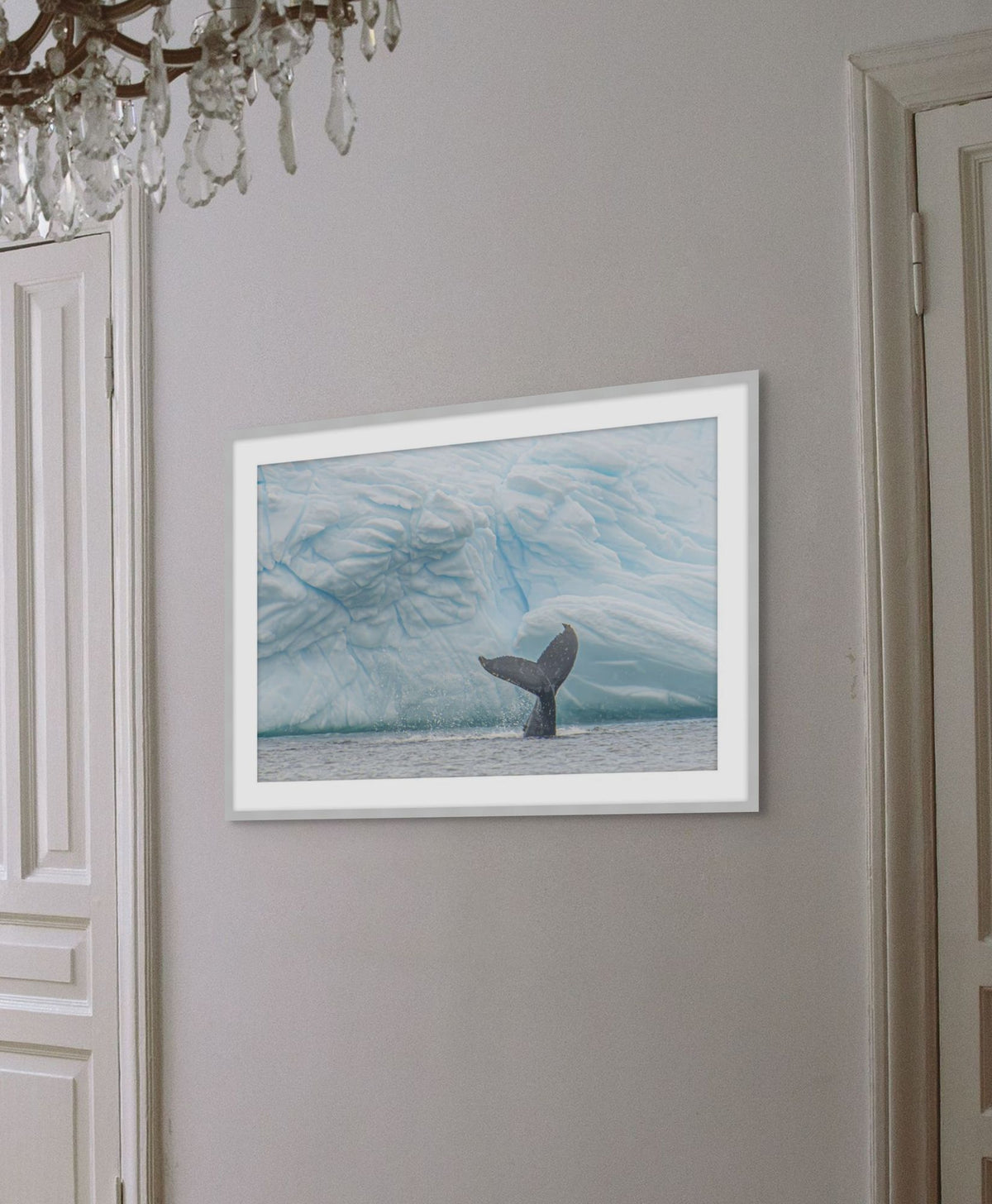 Antarctica Whale Fin 2 detail