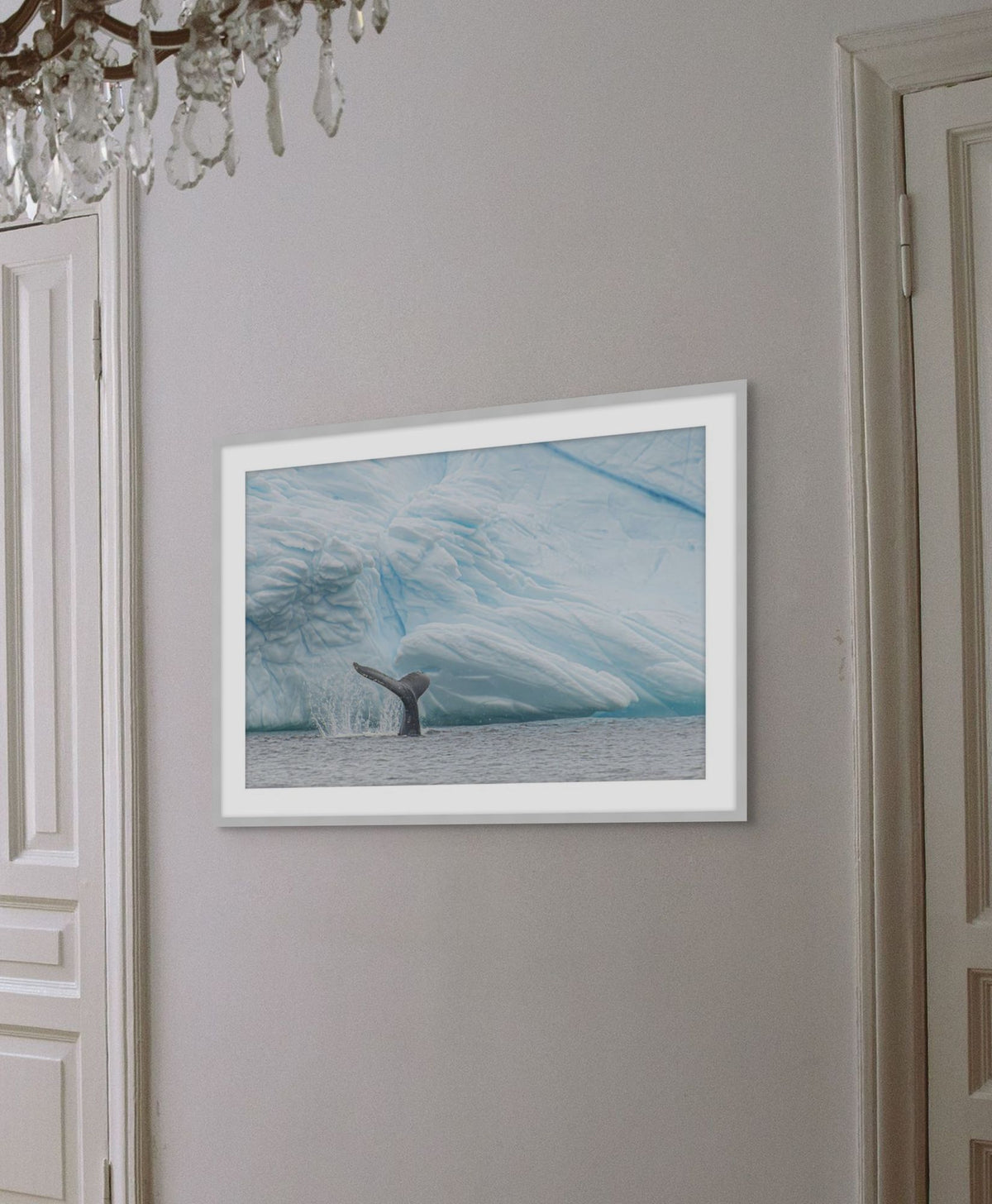 Antarctica Whale Fin 3 detail