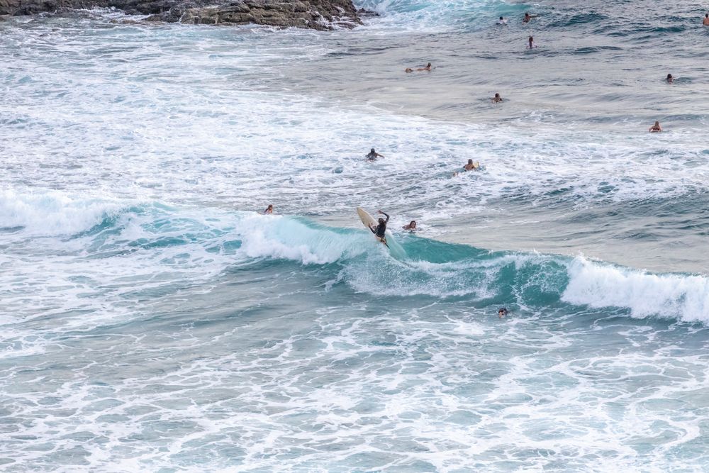 Lombok Surfer 8 artwork