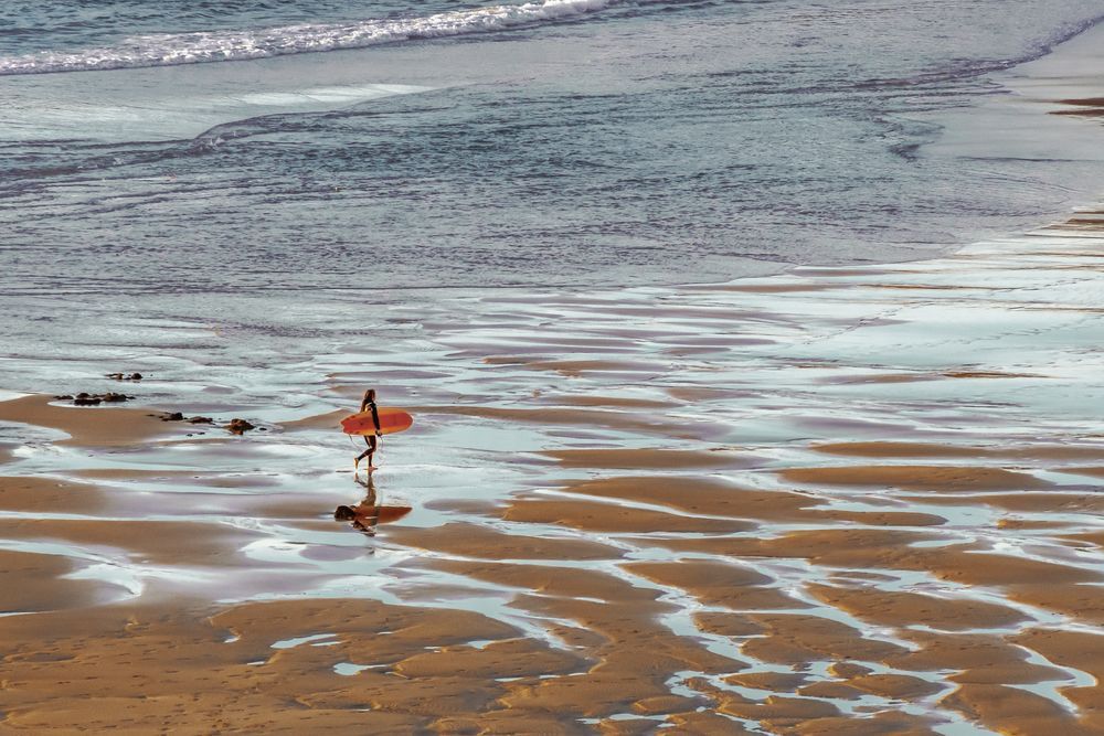 Shore Walk 3 artwork