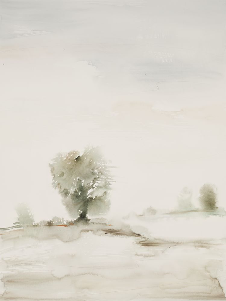 Arboreal Vision 2 artwork