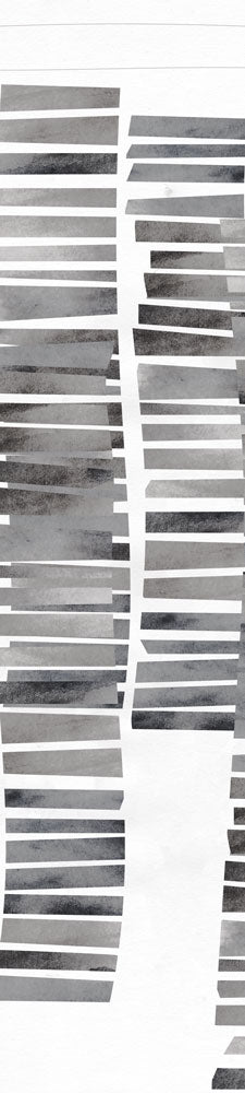 Banded Ridge 3 artwork