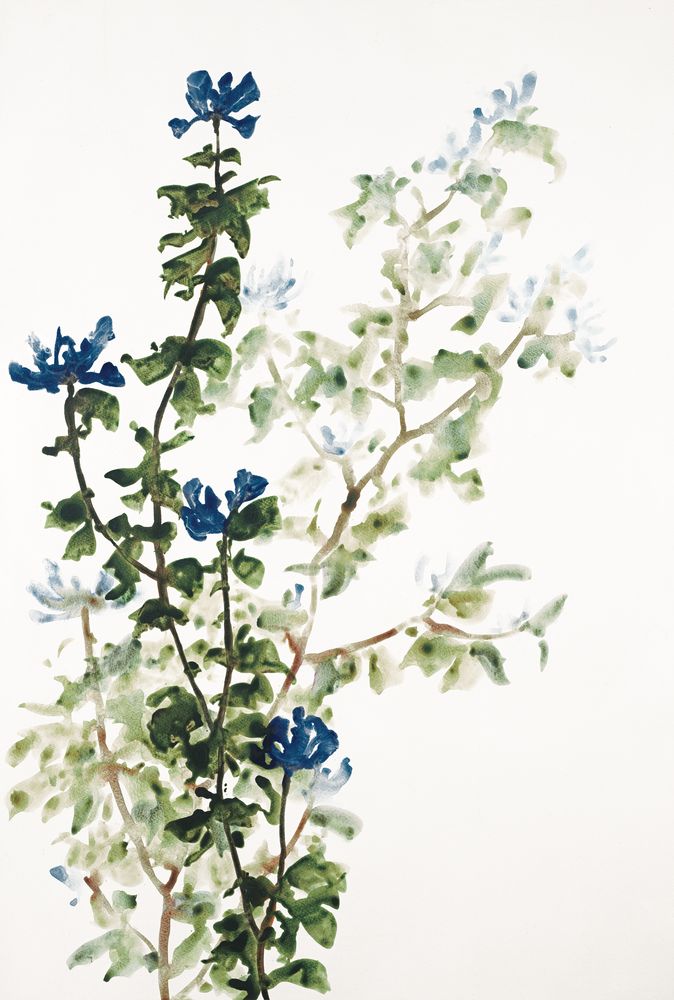 Blue Branch Blooms 2 artwork