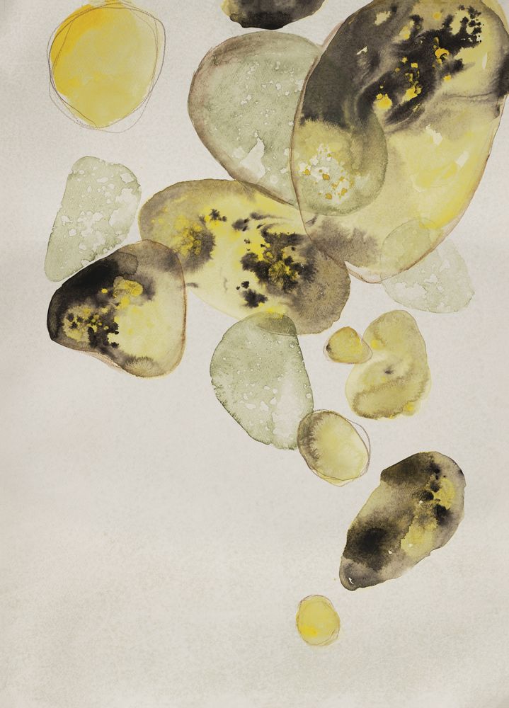Earthen Jewels 1 artwork