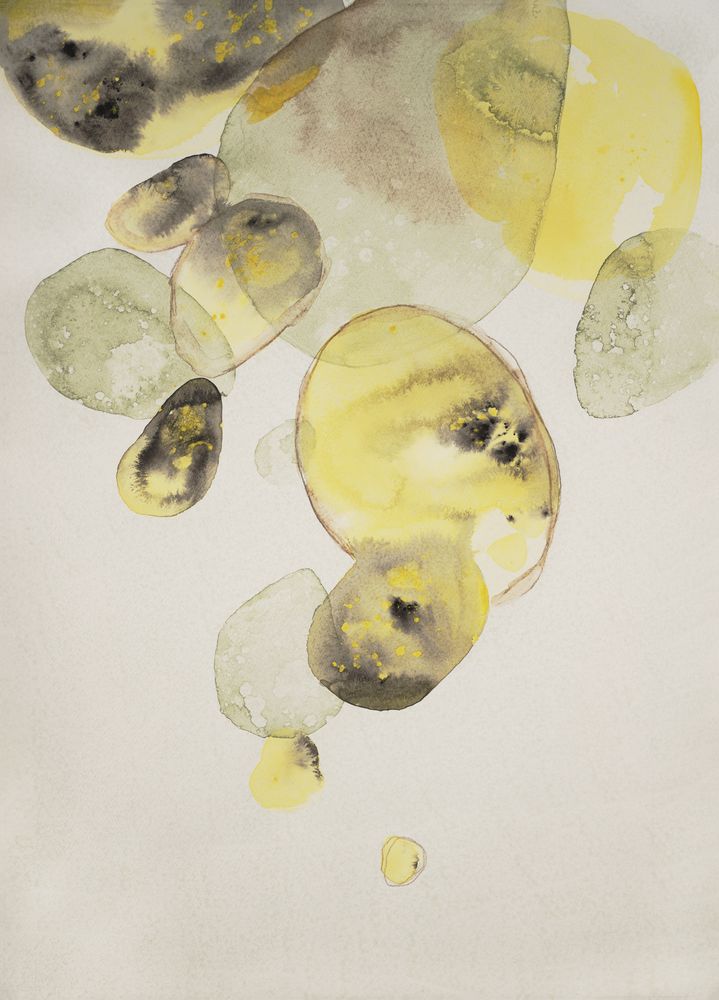Earthen Jewels 2 artwork