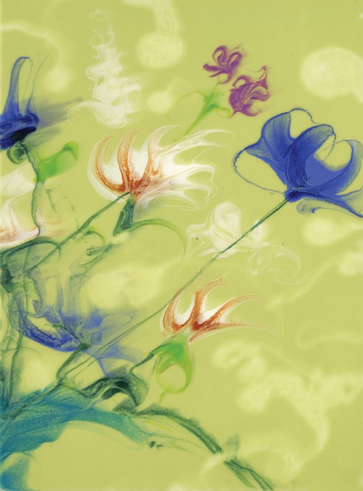 Floral Idealism 1 artwork