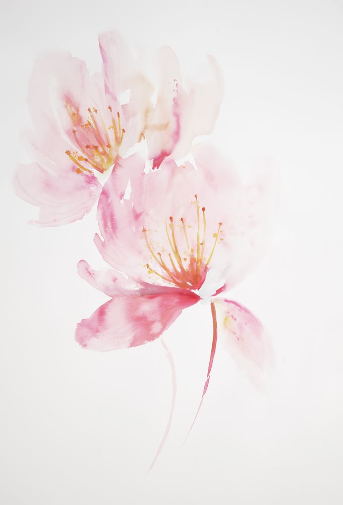 Gossamer Flora 3 artwork