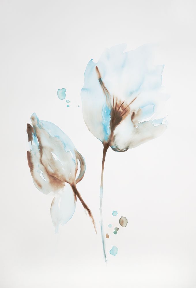 Gossamer Flora 4 artwork
