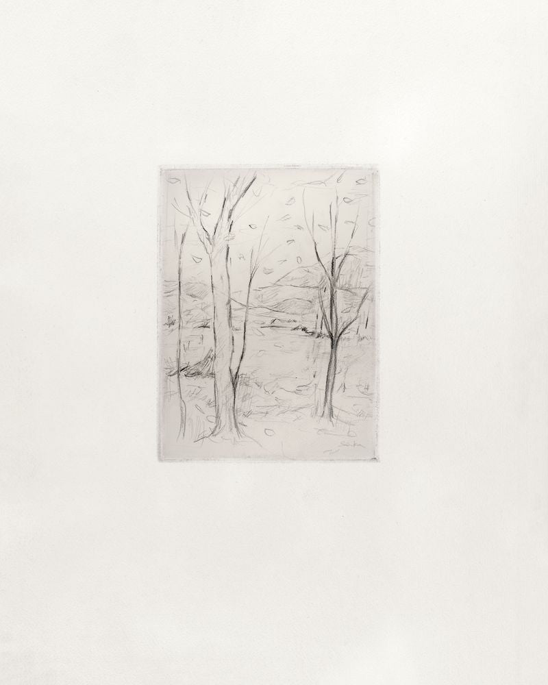 Grove Sketch 3 artwork