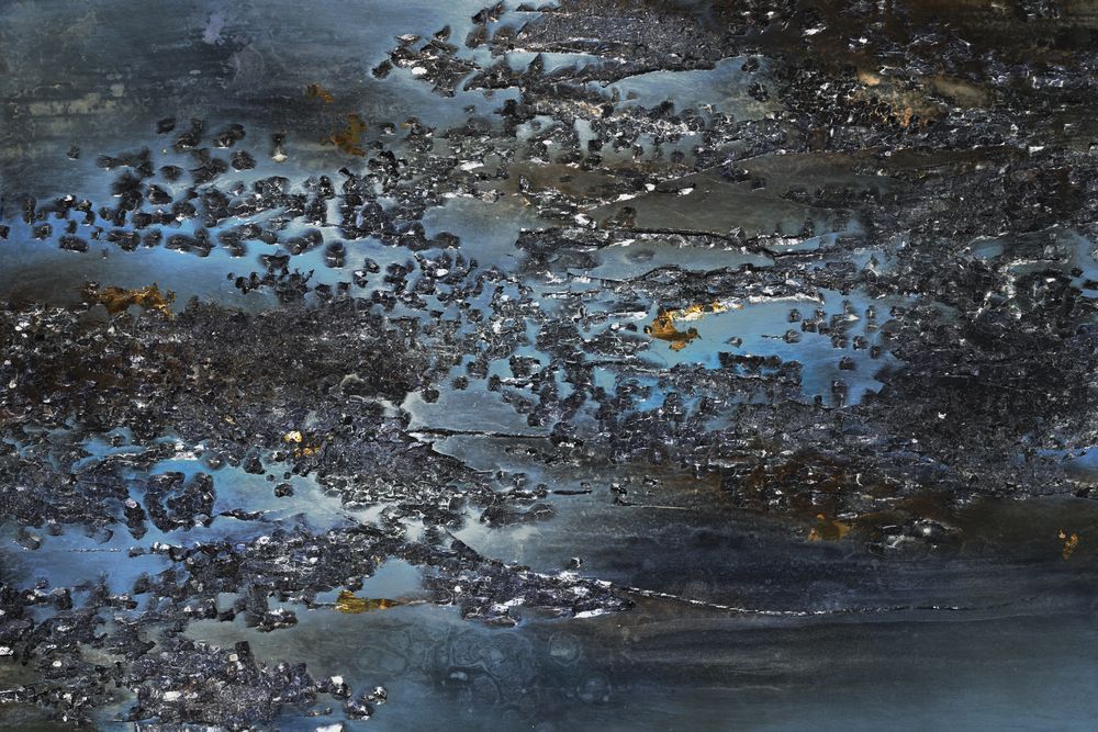 Hidden Beauty 1 artwork