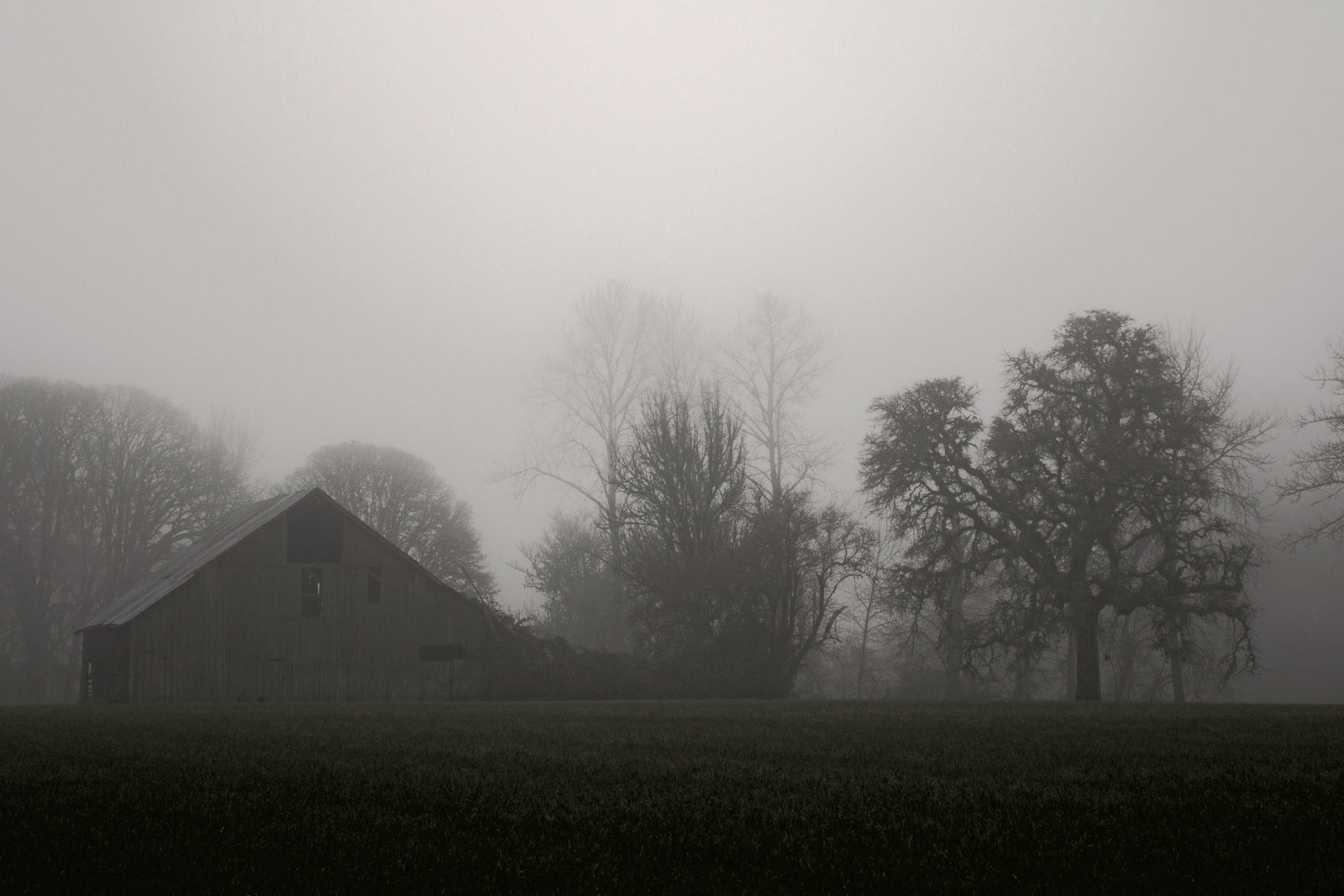 Overcast Day on the Farm 1 artwork