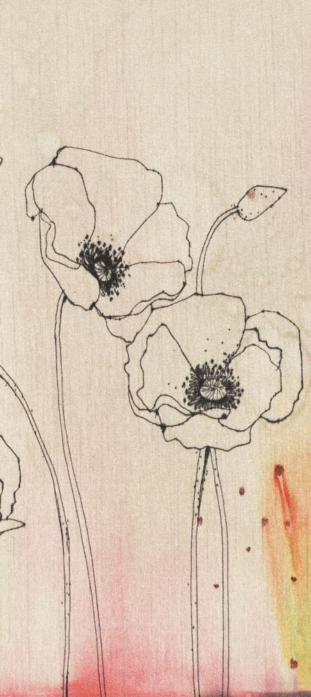 Poppy Blooms 2 artwork