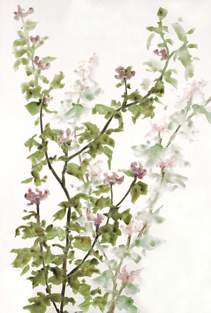 Pink Branch Blooms 1 artwork