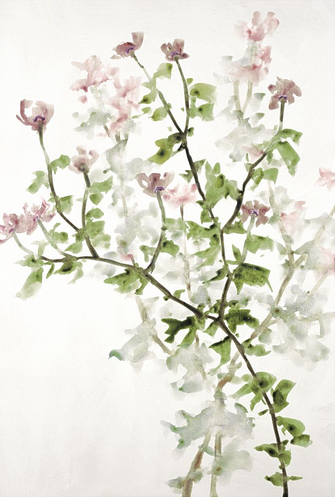 Pink Branch Blooms 2 artwork