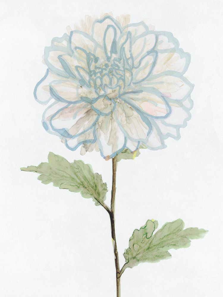 Quiet Bloom 3 artwork