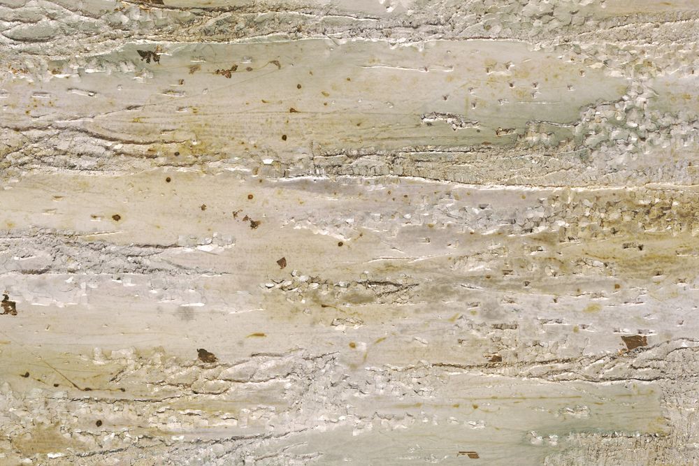 Stone Wash 2 artwork