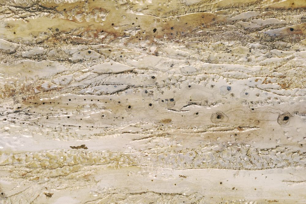 Stone Wash 3 artwork