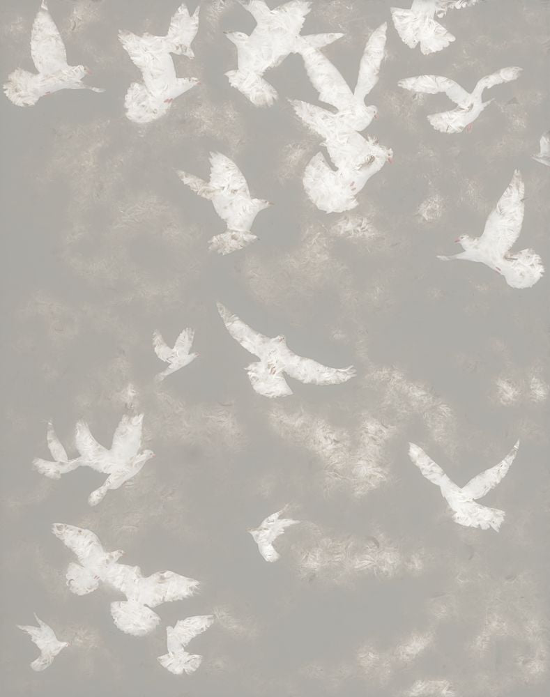 The Distances 1 artwork