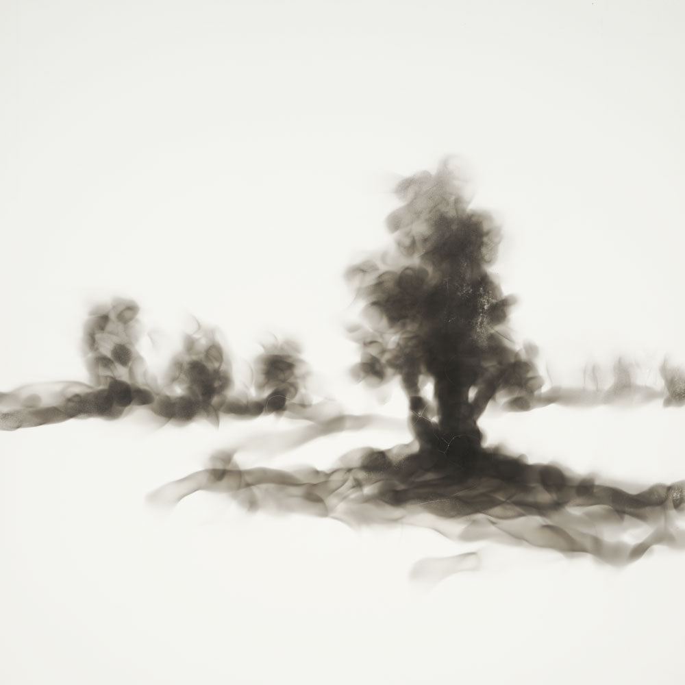 Through The Haze 1 artwork