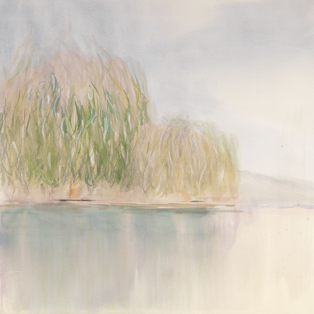 Willow Shoreline 1 artwork