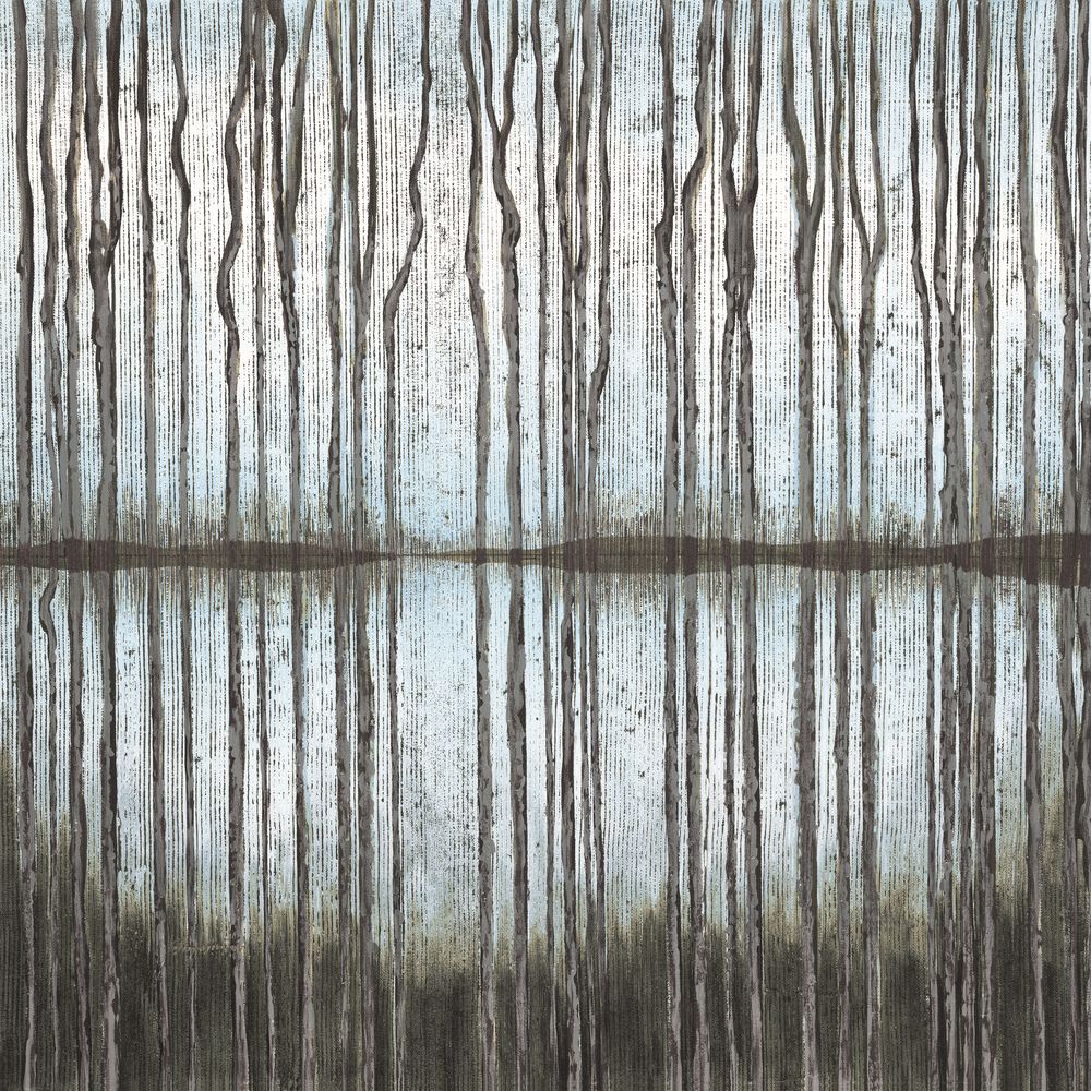 Grove's Reflection 1 artwork