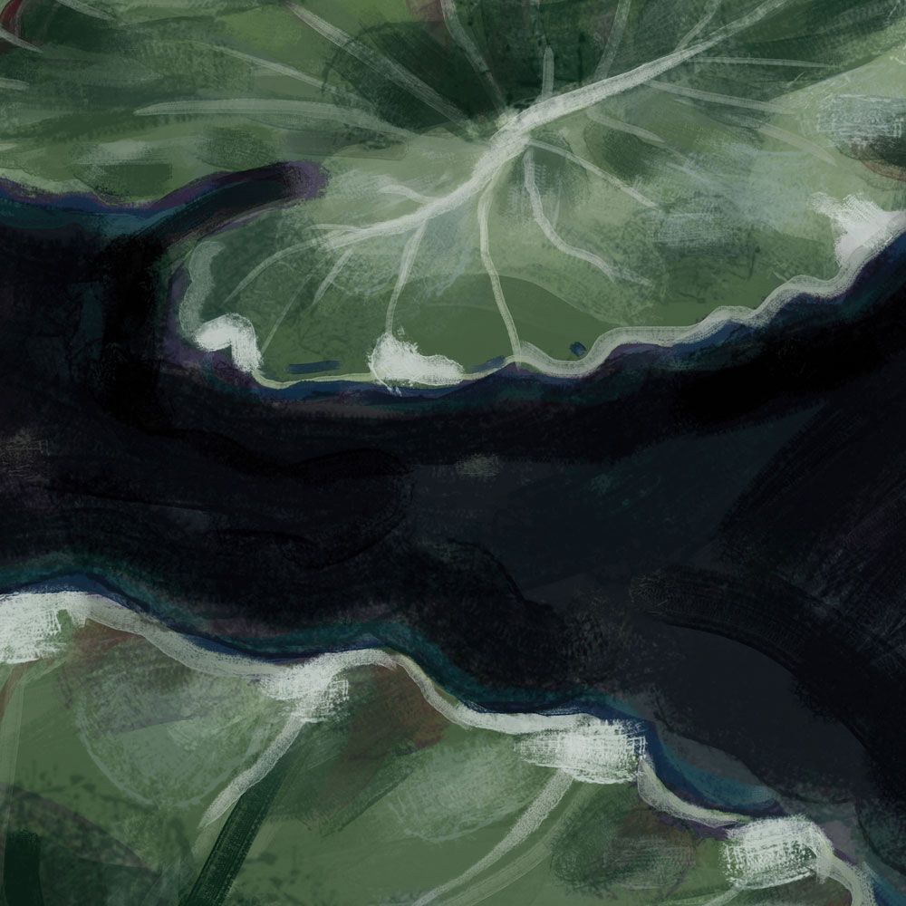 Wild Seedlings 2 artwork