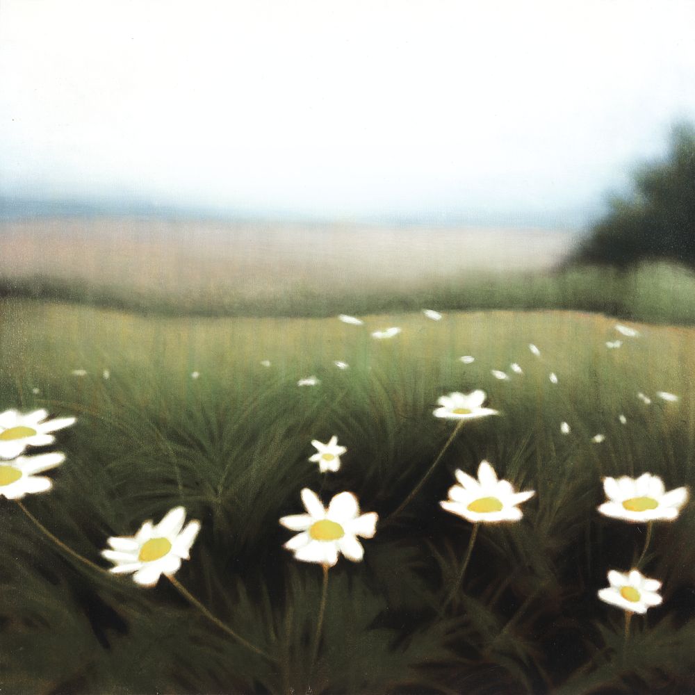 Wild Daisies 1 artwork