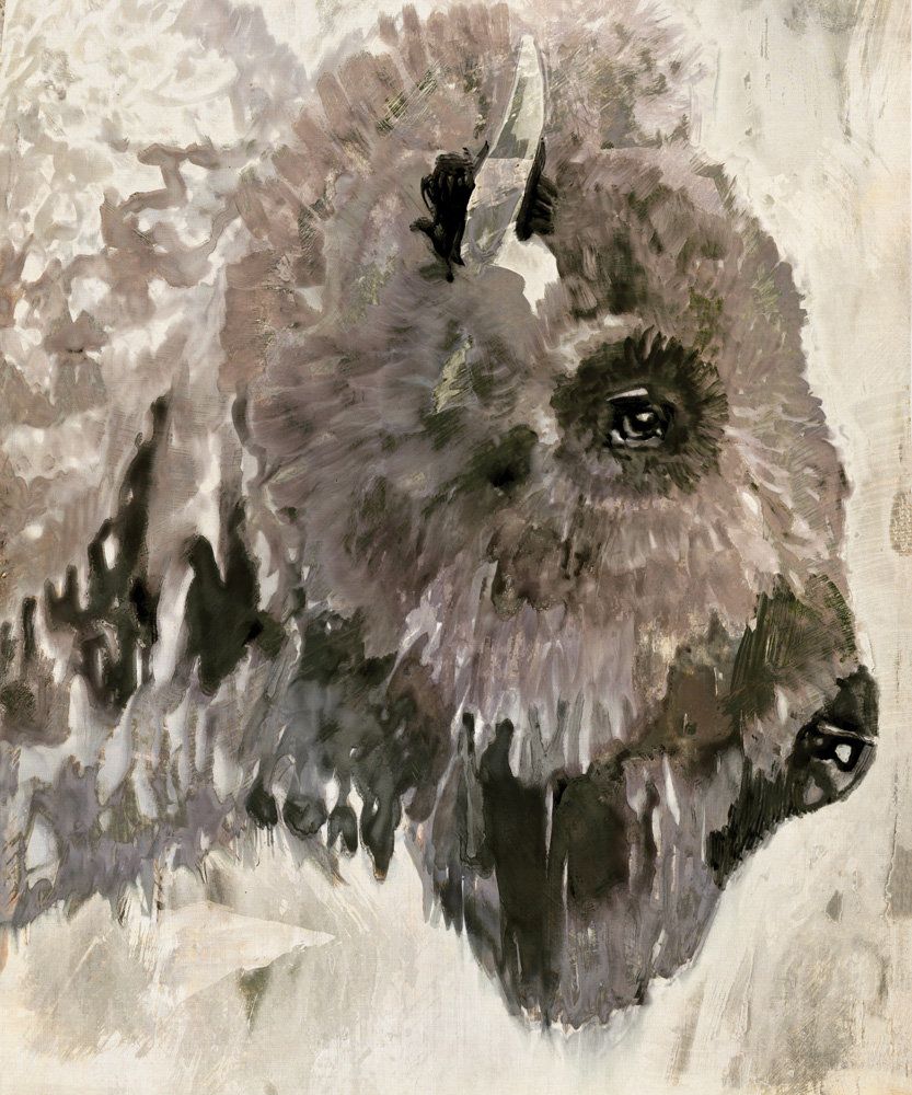 Bison Study 1 artwork