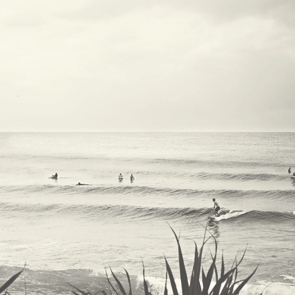 Catching the Wave 1 artwork
