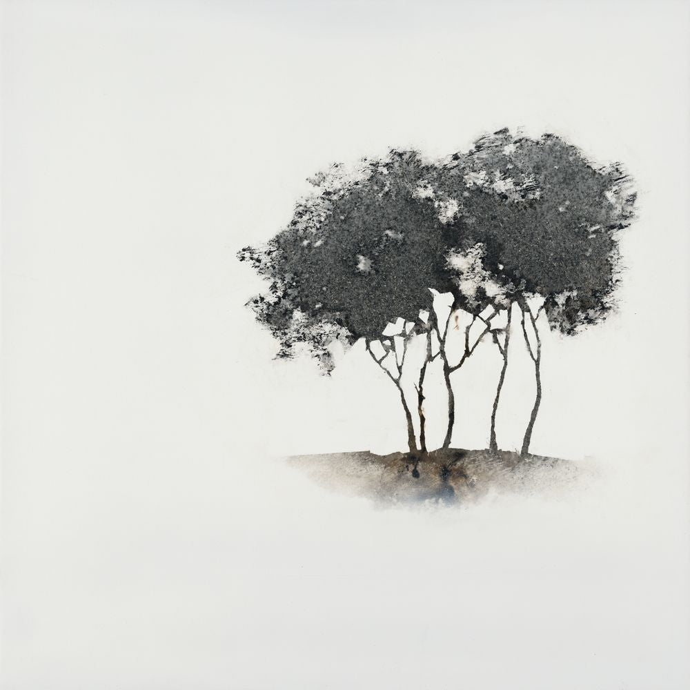 Essential Growth 4 — artwork