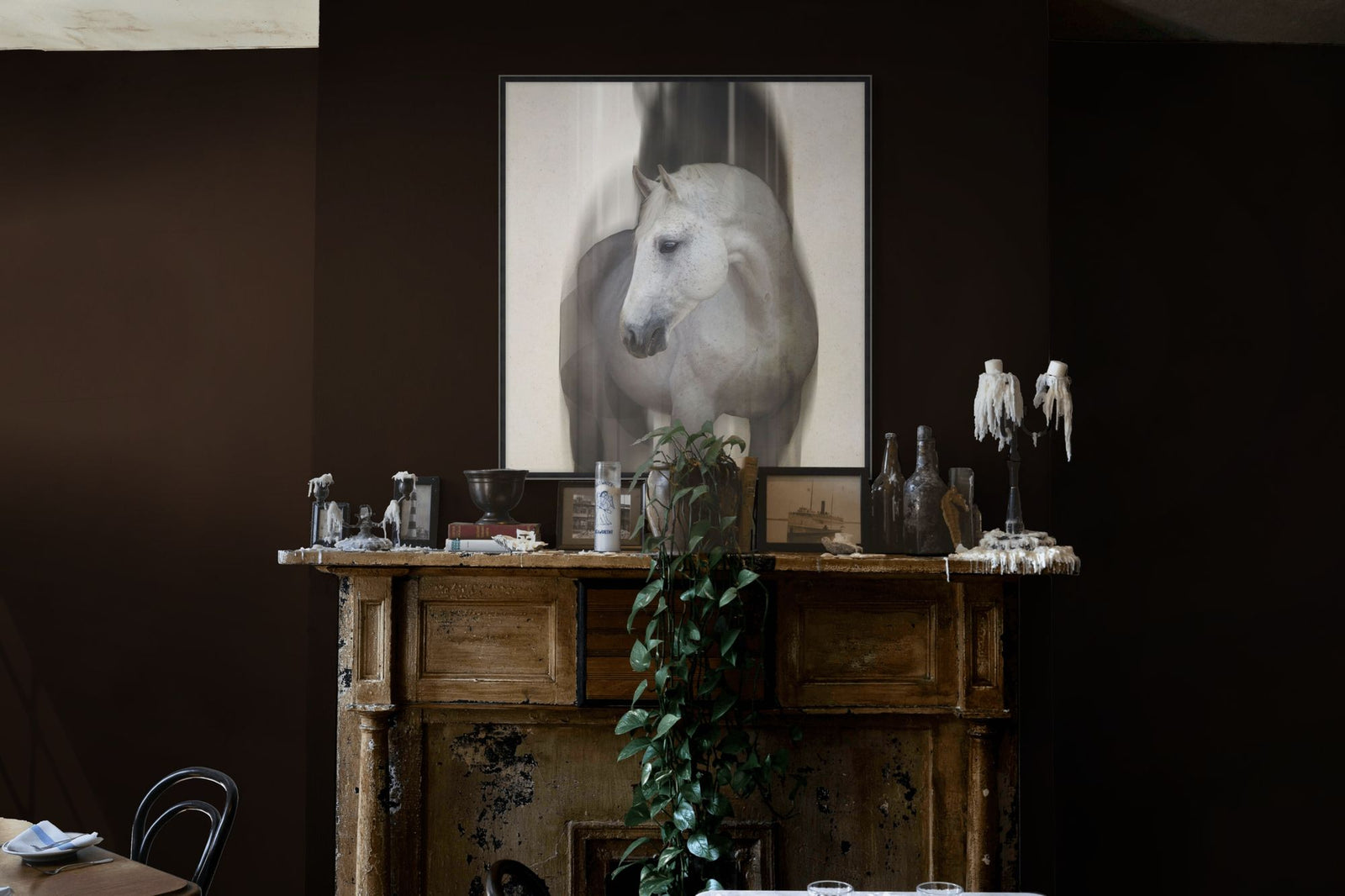 Lady Gray 1 in a room