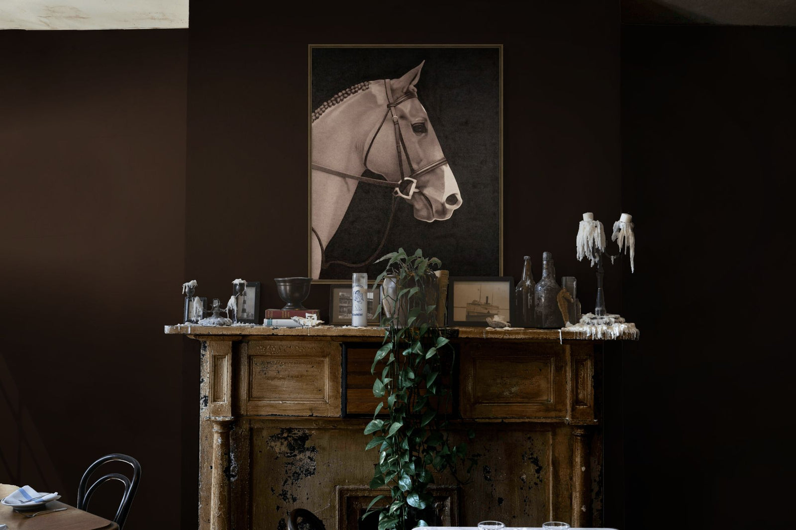 Mustang Muse 1 in a room