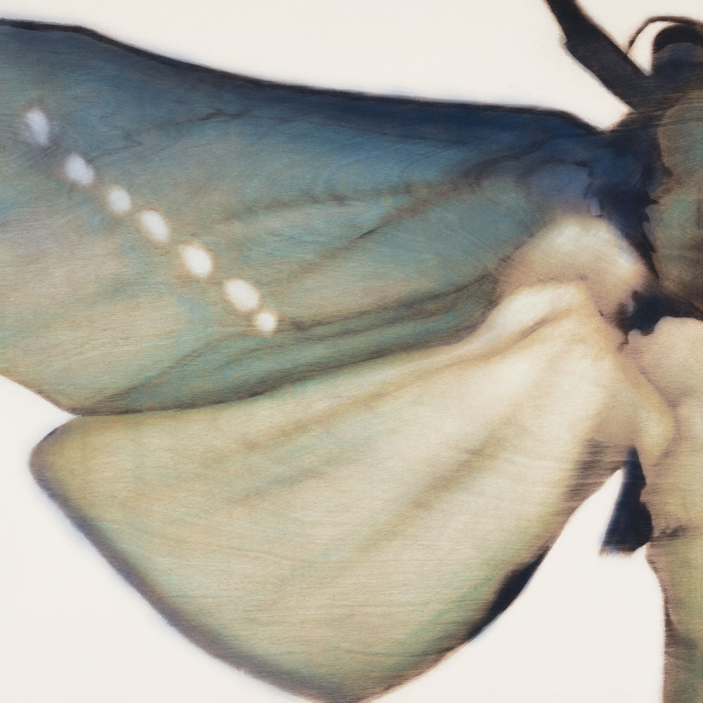 Metamorphosis in Motion 1 — artwork