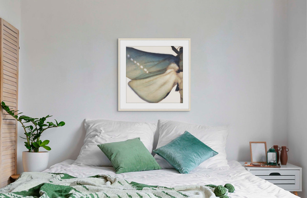 Metamorphosis in Motion 1 — in situ