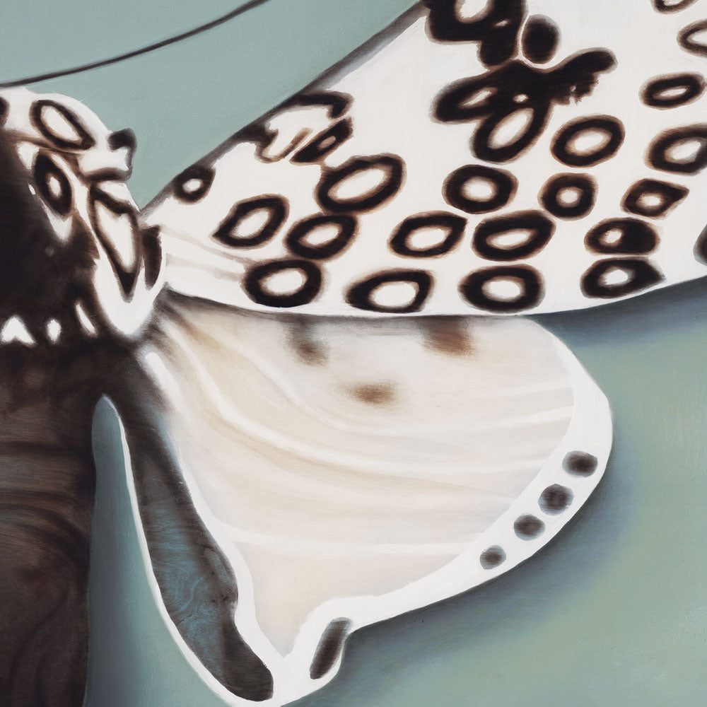 Metamorphosis in Motion 2 artwork
