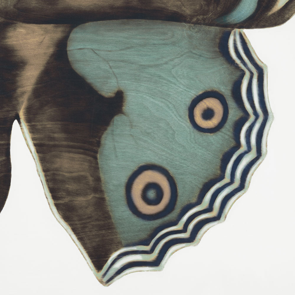 Metamorphosis in Motion 3 artwork