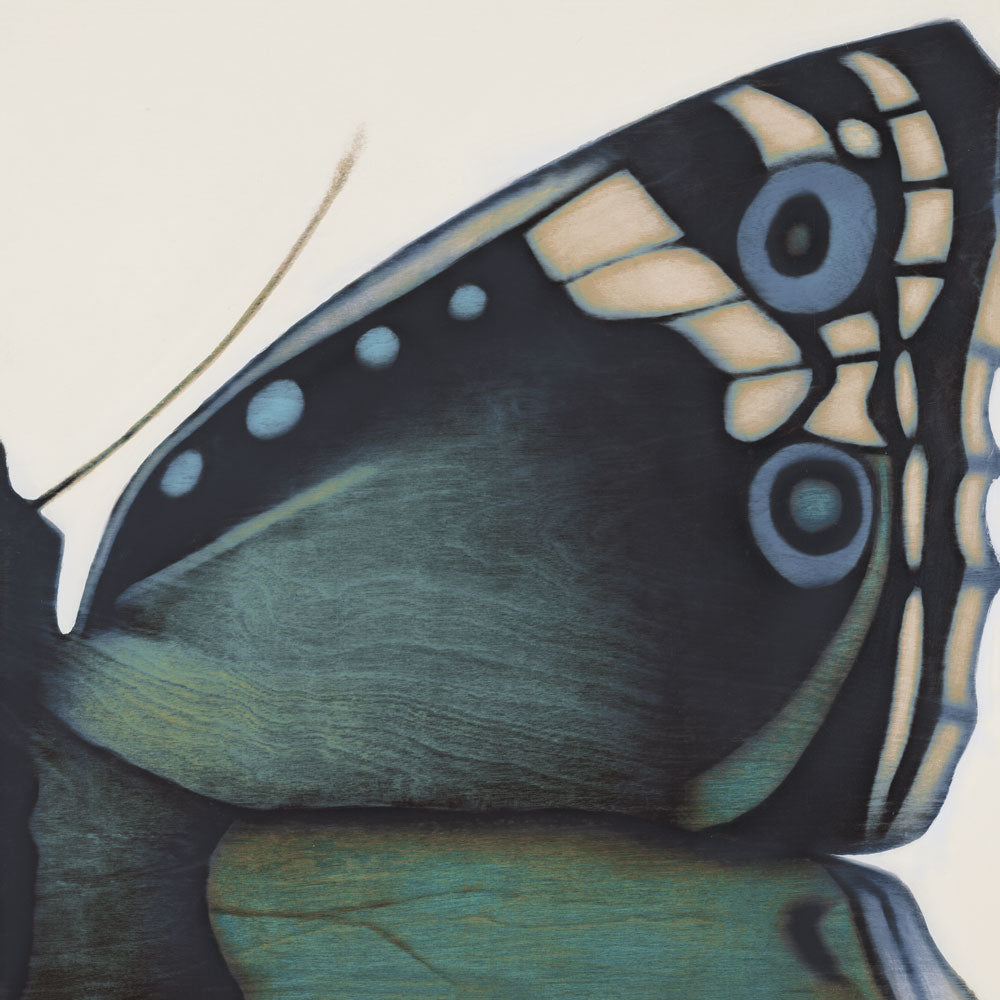 Metamorphosis in Motion 4 — artwork
