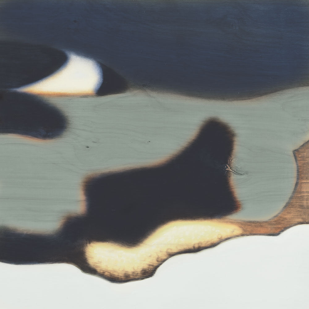 Metamorphosis in Motion 5 artwork