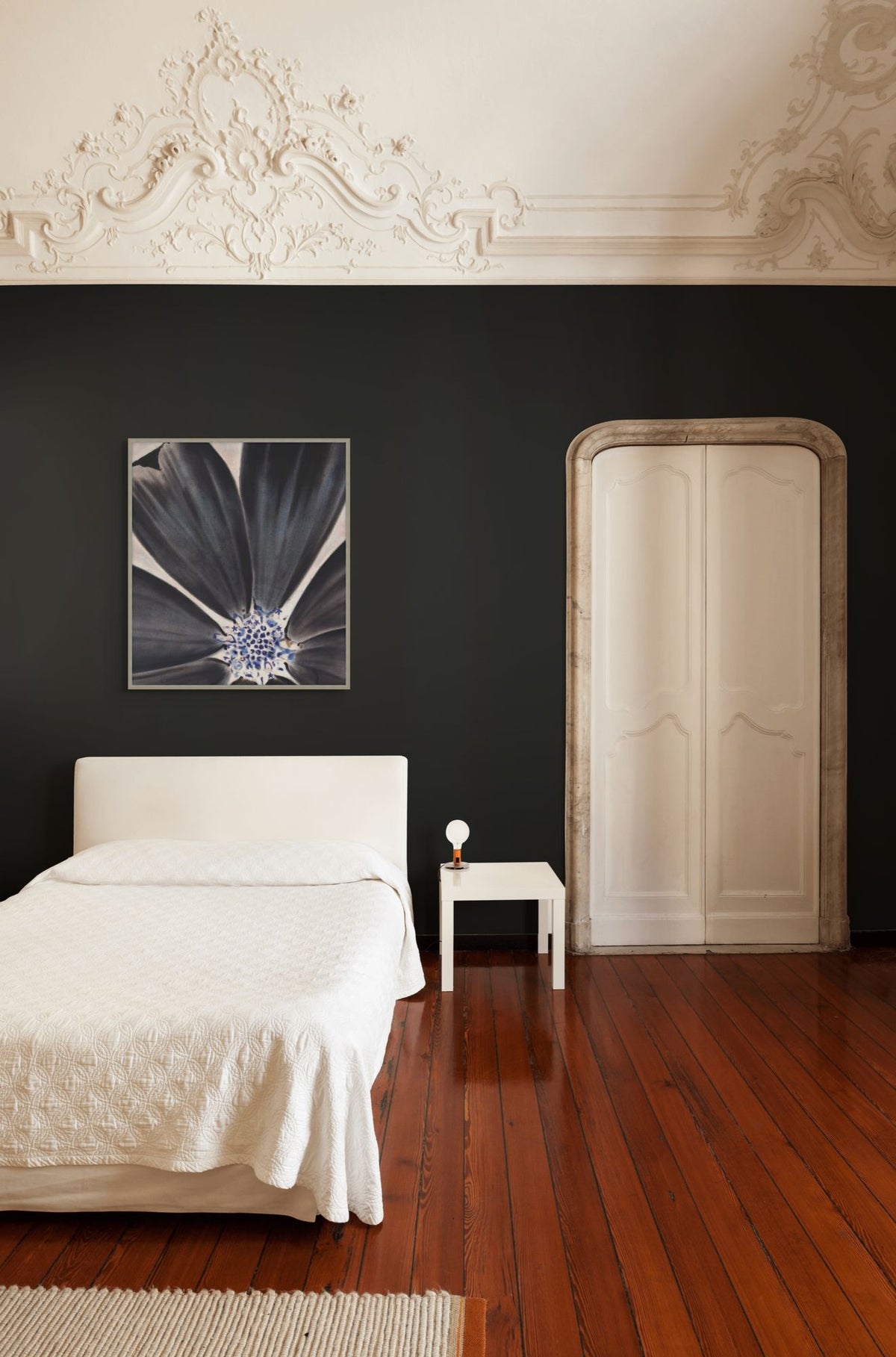 Night Bloom 1 — in situ