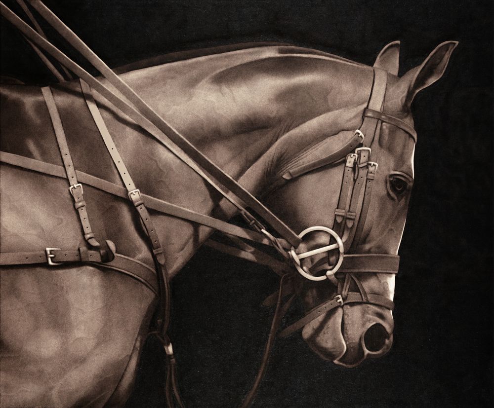 Northern Dancer 1 artwork