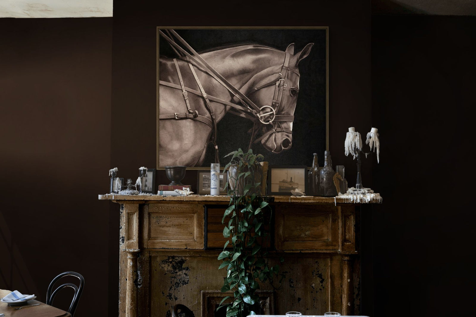 Northern Dancer 1 in a room