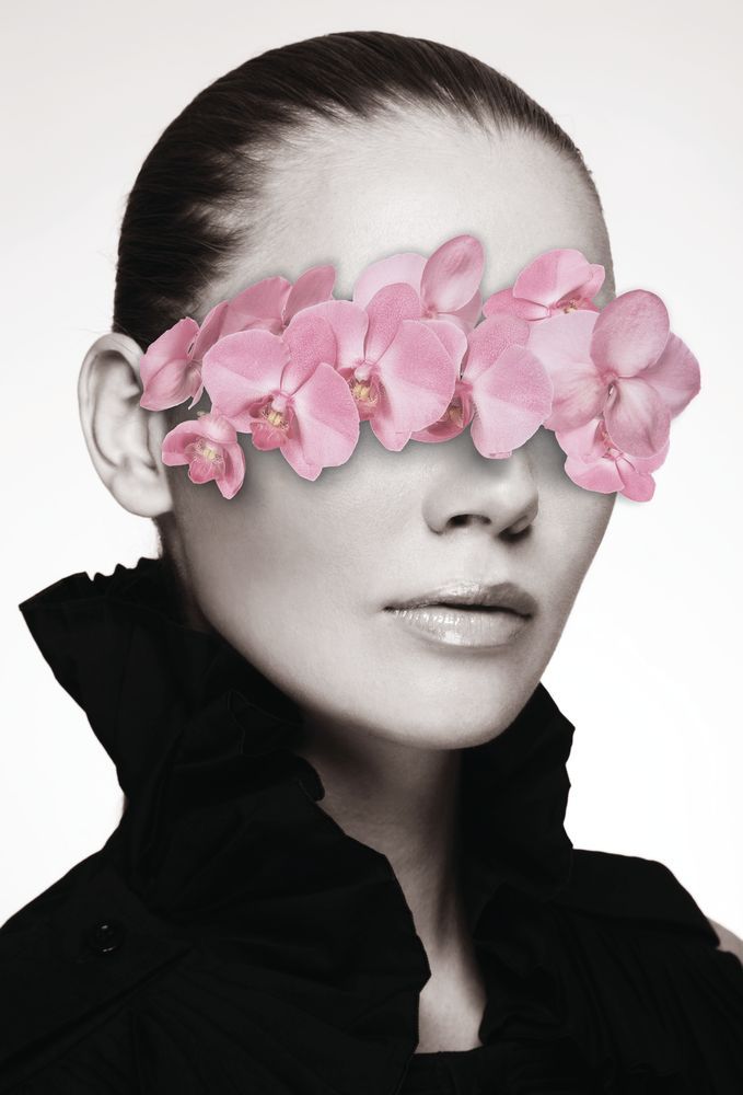 Orchid Haze 1 artwork