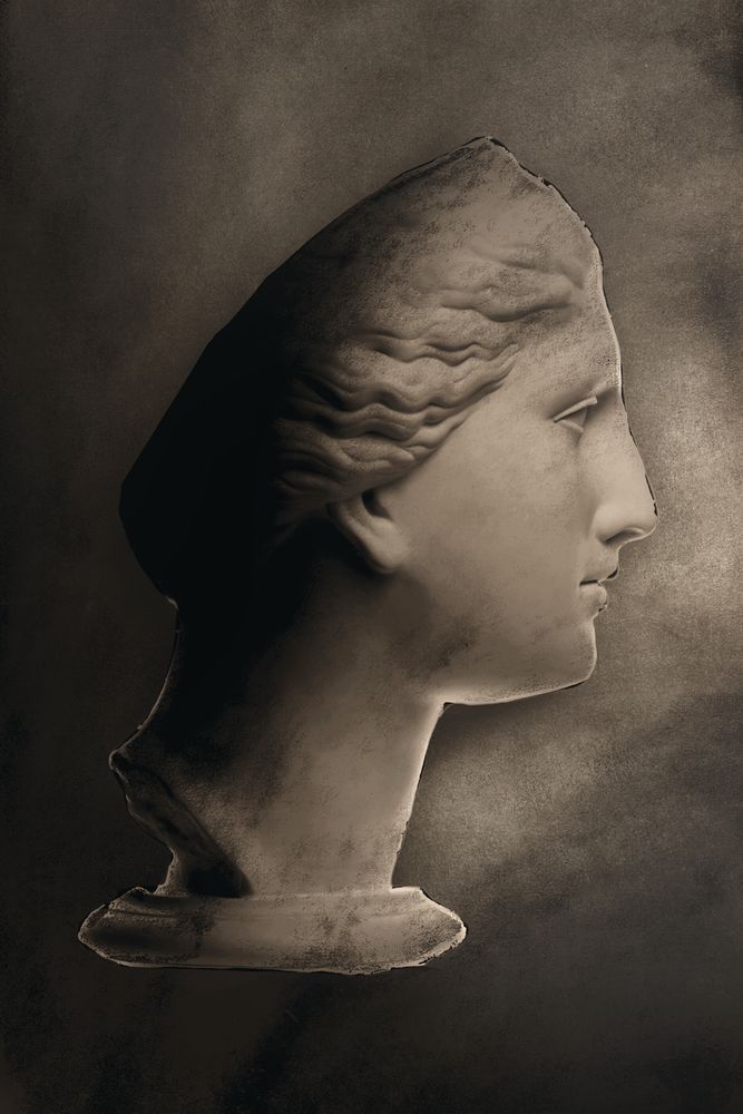 Roman Profile 1 artwork