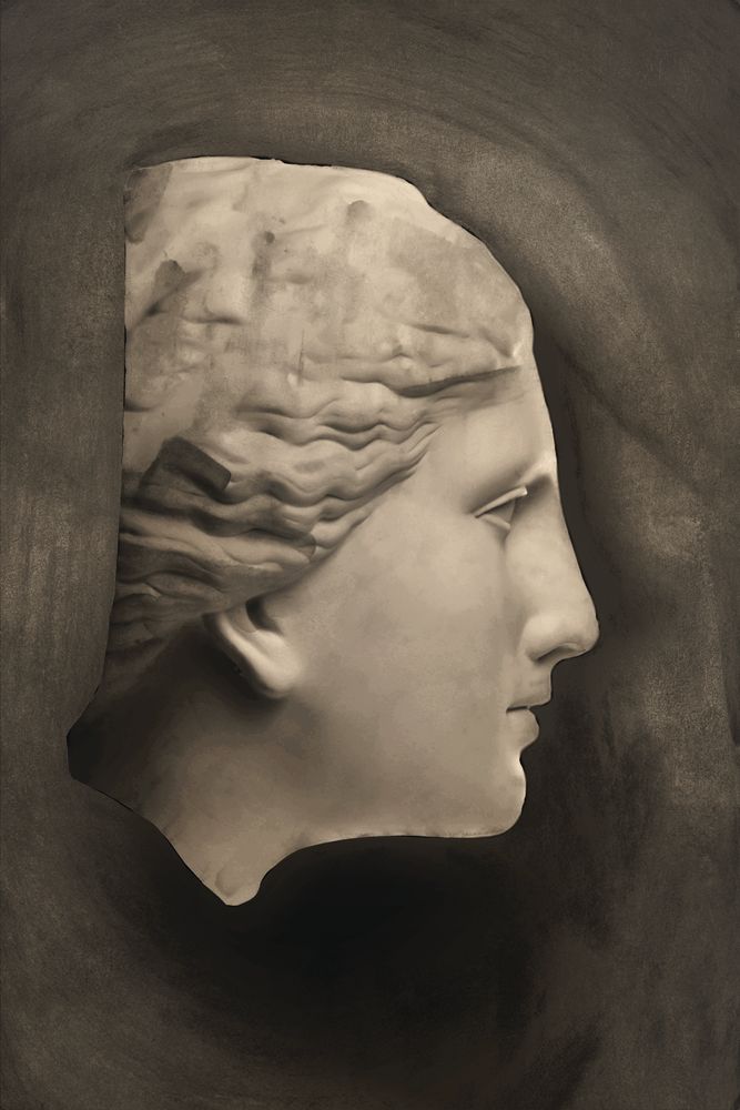 Roman Profile 2 artwork