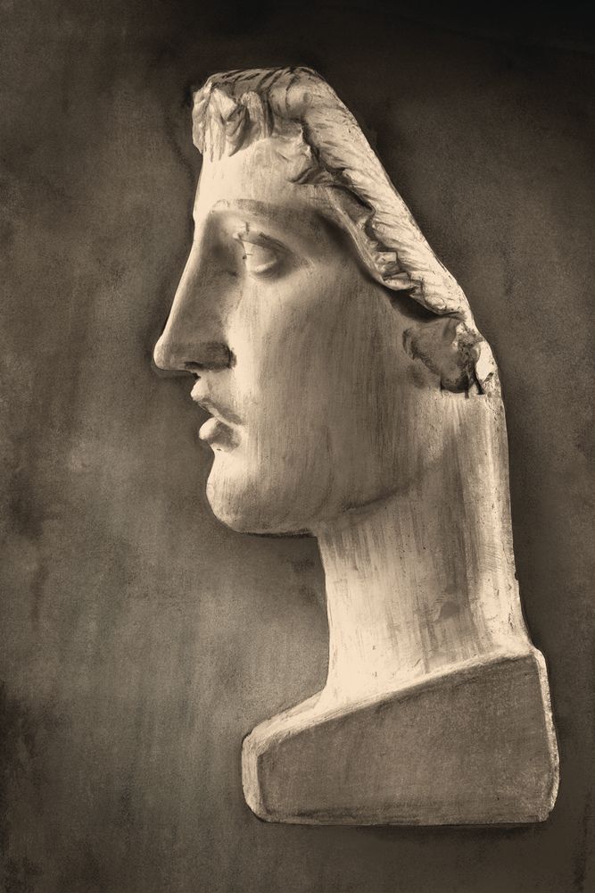 Roman Profile 3 artwork