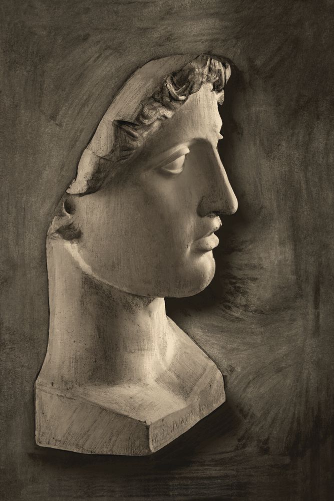 Roman Profile 4 artwork